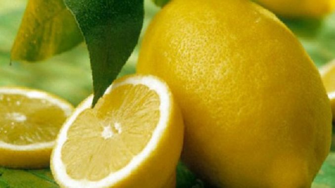 Arsyeja pse duhet konsumuar limon gjatë dimrit EETIMESTV COM