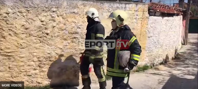 Digjen dy makina në Shkodër, përgjegjësi zjarrfikësve: Mbërritëm me vonesë, automjetet private na bllokojnë rrugët