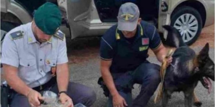 Në Shqipëri tregtar makinash, detaje nga arrestimi i 33 vjeçarit të kapur me kok ainë në Itali: Udhëtonte me vizë turistike 3 mujore