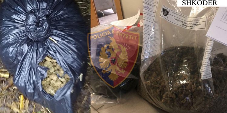 Shkodër, policia arreston shtatë persona dhe sekuestron 5.6 kg lëndë narkotike