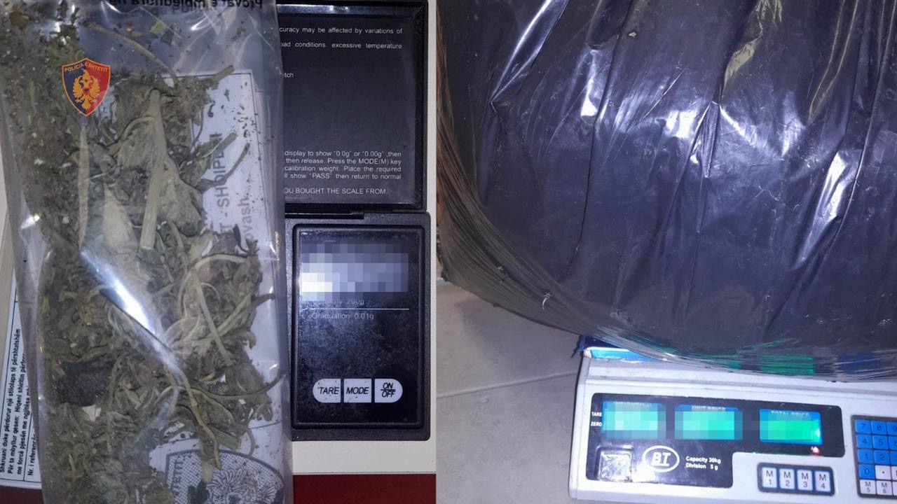 Policia e Shkodres zbulon banesen me 13.8 kg kanabis