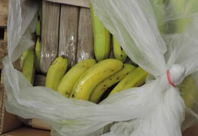 “Kompanitë e bananeve, kamuflazh për trafikun e dogës”, raporti i Europol: Shqiptari siguronte transportin dhe shpërndarjen e kokainës nga Kolumbia