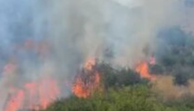 Dy vatra zjarri aktive në qarkun e Shkodrës, zjarrfikësit në terren