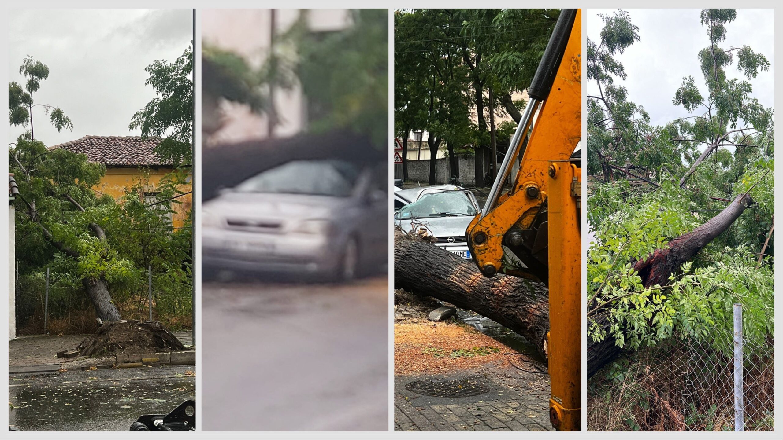 Moti i keq, rrezohen pemët, demtohet një mjet në Shkodër