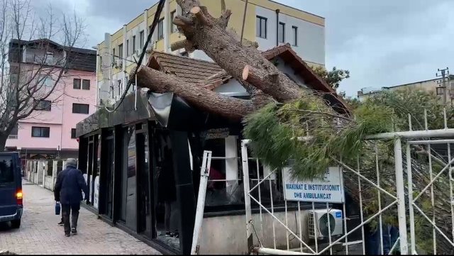 Rrëzohen dy pemë pranë oborrit të spitalit rajonal të Lezhës, bien sipër një dyqani, dëmtohen disa makina të parkuara